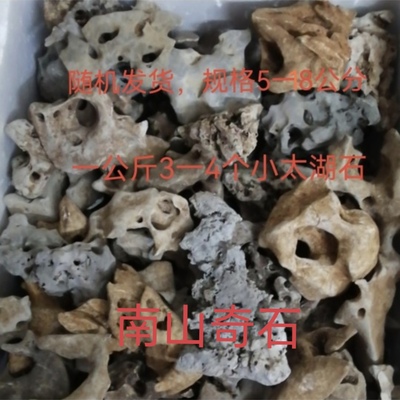 广西天然小太湖石原石微盆景菖蒲植物小假山盆景天然石头假一赔十