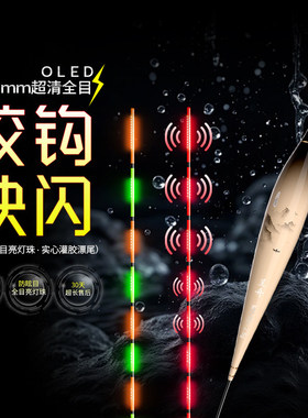呈舟0.65咬钩快闪防眩目全目OLED灌胶尾日夜两用高灵敏夜光漂浮漂