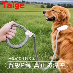 Taige宠物狗狗牵引绳p绳遛狗牵引绳p链牵狗绳中大型犬狗链栓狗绳