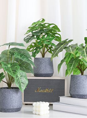 仿真绿植盆景北欧龟背假绿植盆栽客厅ins风装饰品桌面家居小摆件