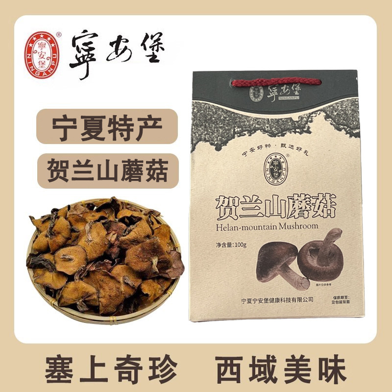 宁夏特产宁安堡贺兰山蘑菇山野菌菇100克包邮农家干货内蒙古