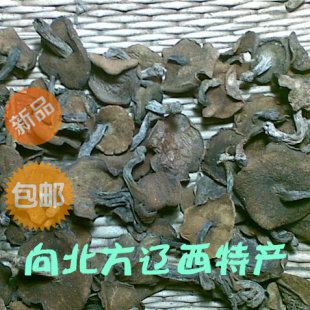 东北特产松蘑 野生红松蘑粘团子松树伞松菇干货/产地直销全国包邮