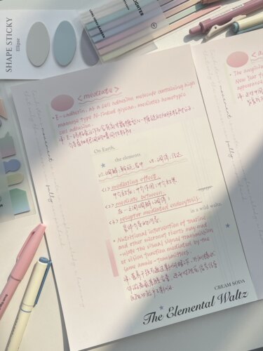 creamsoda奶油苏打拍纸本奶油苏打信纸笔记本便签文具紫岚听风