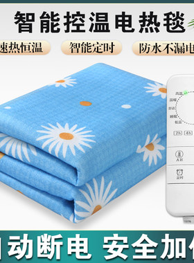 电热毯单人双人双控调温三人加大家用加厚学生宿舍安全防水电褥子