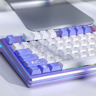 金属版SK98 Gasket结构 RGB热插拔 音乐律动 Everglide客制化键盘
