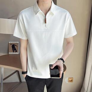 t恤男款 衣服男装 夏季 半袖 体恤 潮牌高级感潮流纯色百搭Polo衫 短袖