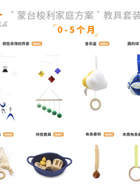 蒙生教育家庭方案0-5个套装玩具