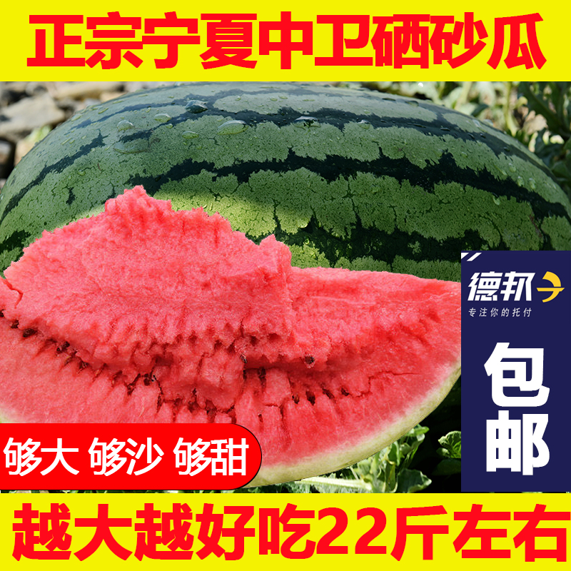 硒中卫应季沙瓤西瓜砂瓜香山宁夏包邮新鲜压砂瓜22水果富石峰硒斤