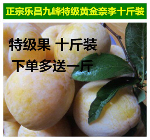 特大乐昌九峰山黄金奈李黄布林李子恐龙蛋 绿色新鲜水果韶关特产在类目 水产肉类/新鲜蔬果/熟食, 新鲜水果, 李子中 - 来自Buy2taobao.com提供专业的淘宝代购服务
