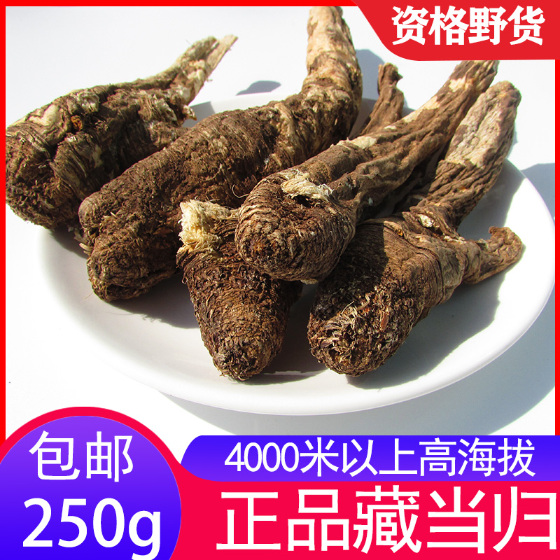 西藏中藥材藏當歸高品質(zhì)藏當歸 味道香 效果遠超家當歸 半斤包郵