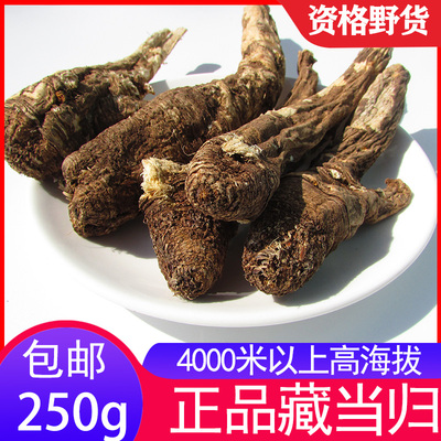 中药材当归野生藏当归
