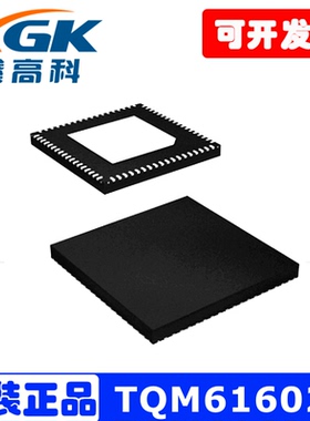 TQM616025全新原装功放IC芯片现货QFN贴片量大包邮直拍直发可配单