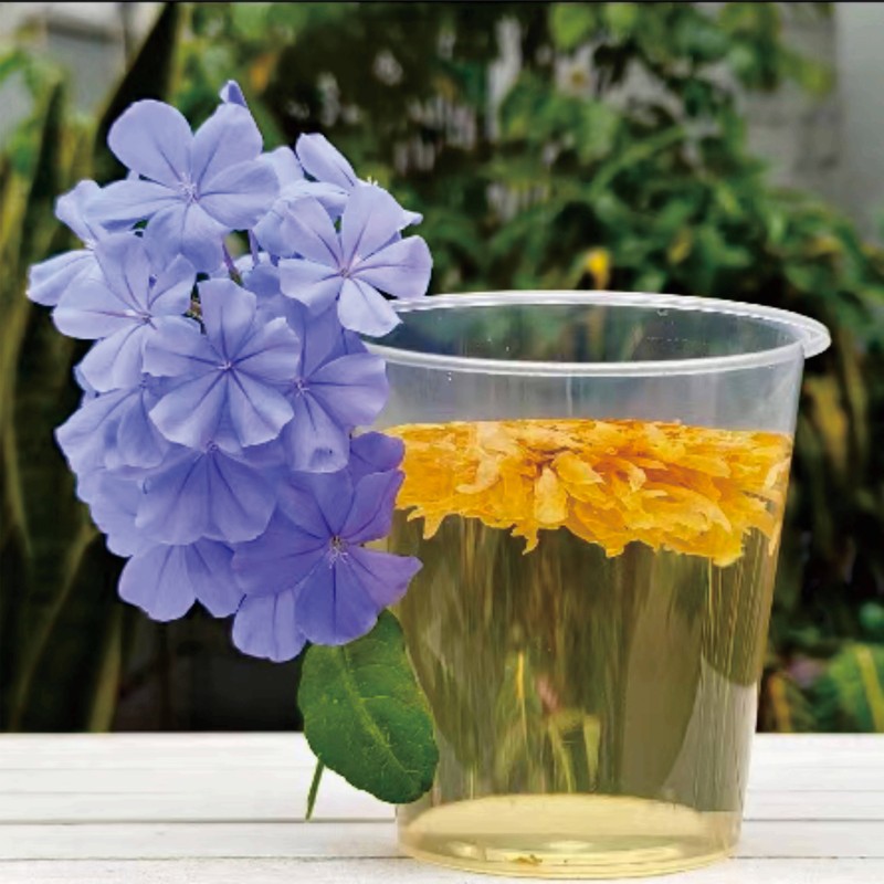 一次性航空杯塑料杯定制杯广告杯