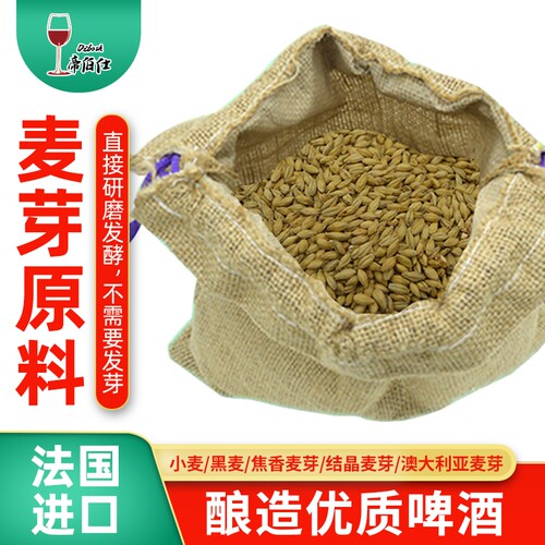 精酿啤酒自酿家酿原料