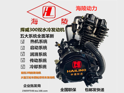 海陵水冷海啸200 250 300 摩托车机头三轮车发动机总成