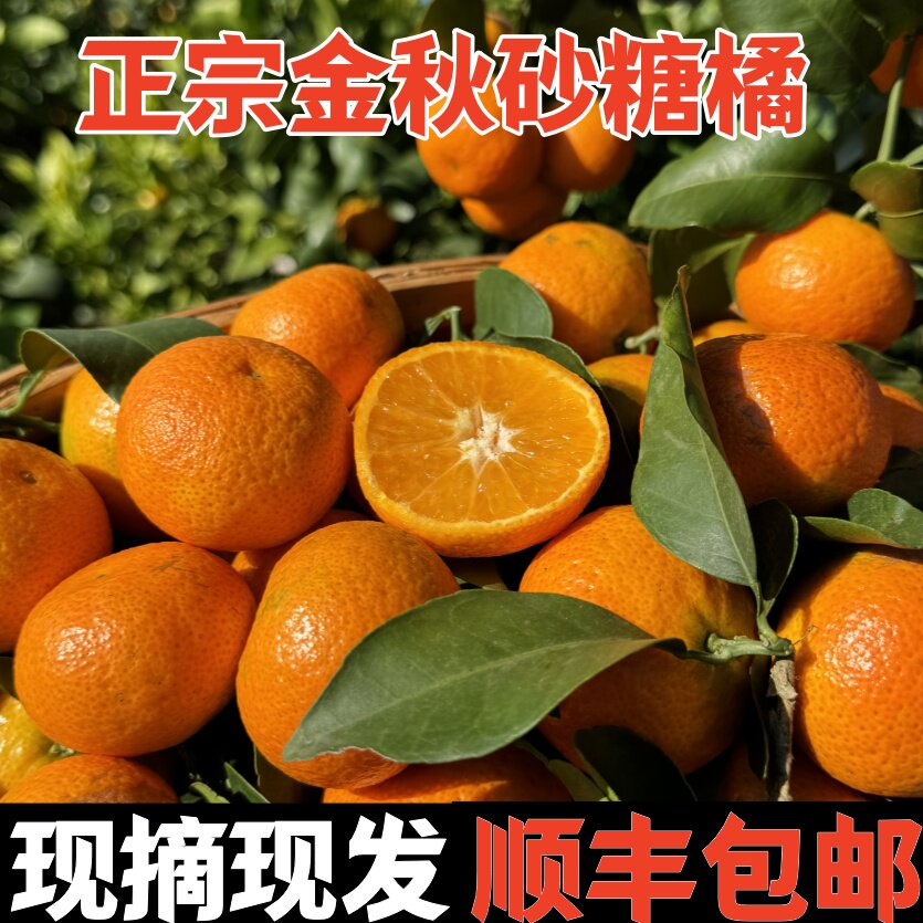 【顺丰】正宗云南金秋砂糖橘5斤桔子