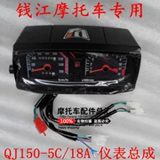 Xe máy Qianjiang phụ tùng nguyên bản dụng cụ QJ125-F / 6B / 150-5c / 18A - Power Meter