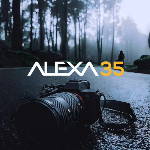 ARRIALEXA35标准车窗装饰车贴