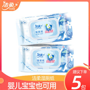 湿厕纸擦屁屁温和杀菌女士专用私处卫生湿纸巾 洁柔5包家庭实惠装