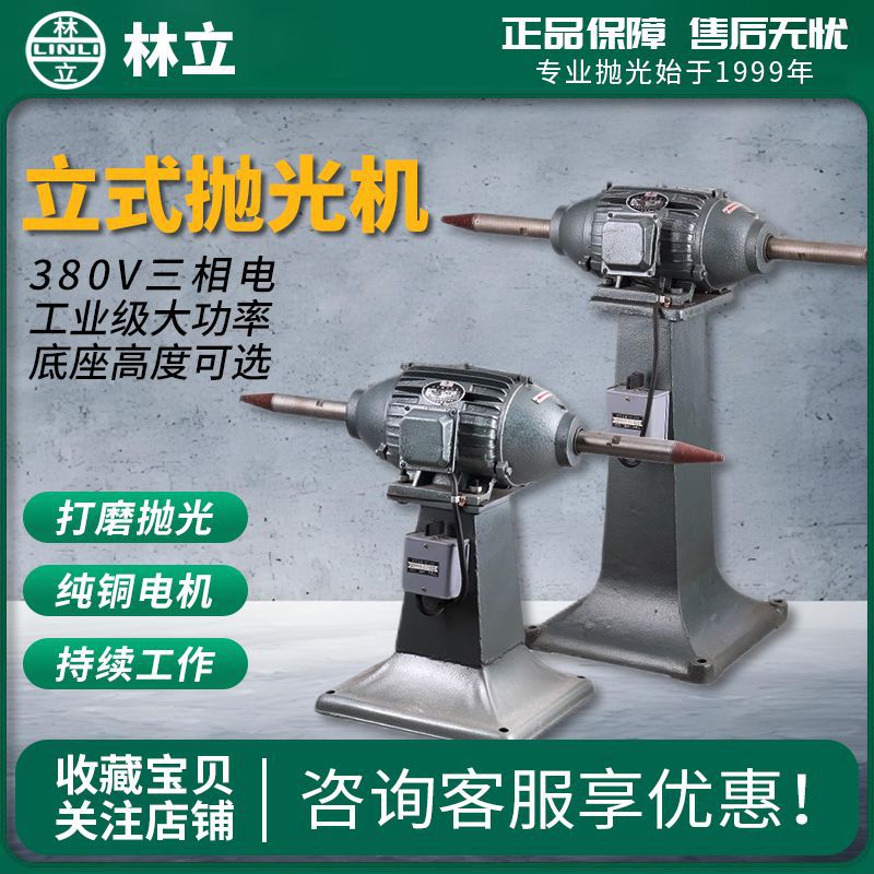 林立立式抛光机工业级打磨拉丝除锈砂轮机落地式磨光双头螺纹布轮