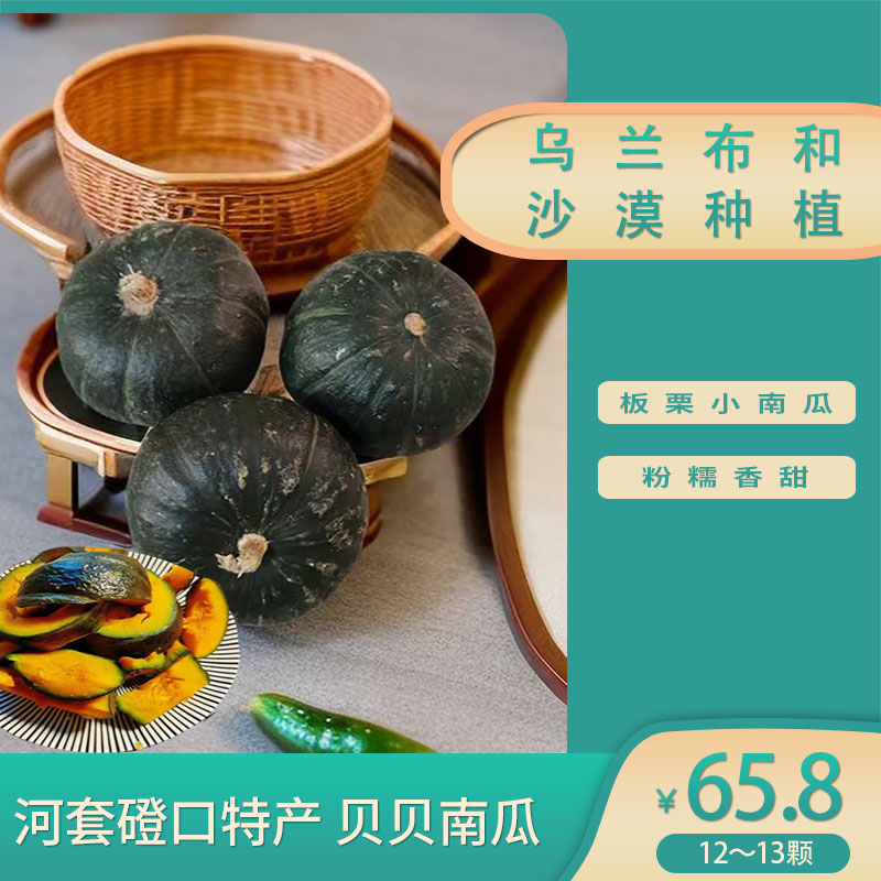 内蒙古乌兰布和沙漠种植南瓜贝贝河套板栗小南瓜婴儿辅食磴口特产