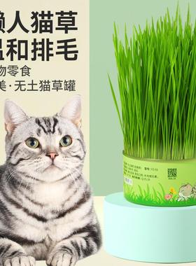 Lazy cat grass canned pet cat snacks ready to eat potted
