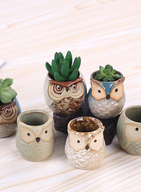 Owl flowerpot home gardening succulent plants pottedceramics