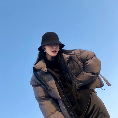逛街帽子盆帽女羊毛百搭秋冬