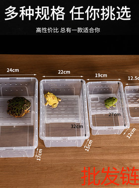 爬宠饲养盒两栖箱小乌龟缸守宫角蛙盒带晒台塑料乌龟盒角蛙饲养箱