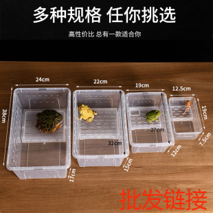 爬宠饲养盒两栖箱小乌龟缸守宫角蛙盒带晒台塑料乌龟盒角蛙饲养箱