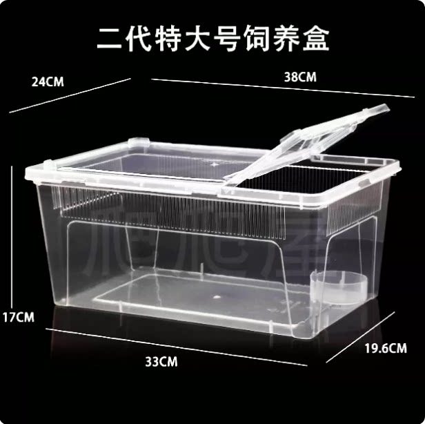 爬宠饲养盒 鼠妇守宫蜘蛛角蛙蟑爬宠缸/箱