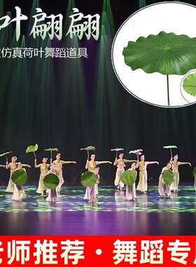 荷花鱼戏莲叶间仿真舞蹈国庆汉服