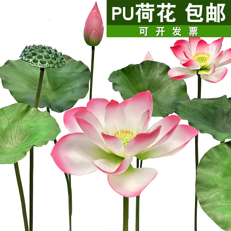 荷花水池莲花pu组合不褪色