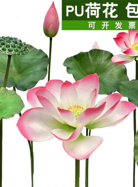 荷花水池莲花pu组合不褪色