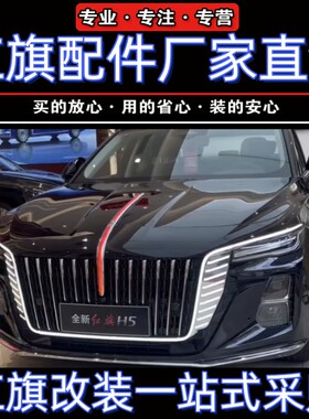 红旗H5龙耀中网u型灯替换件23-26款h5旗标灯中网流光灯龙须机盖灯