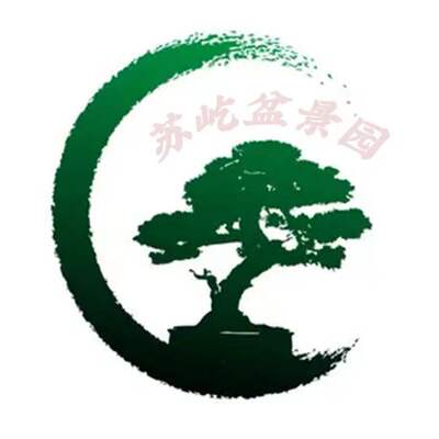 苏屹盆景 直播专拍 盆景植物小树配植山水盆景绿植