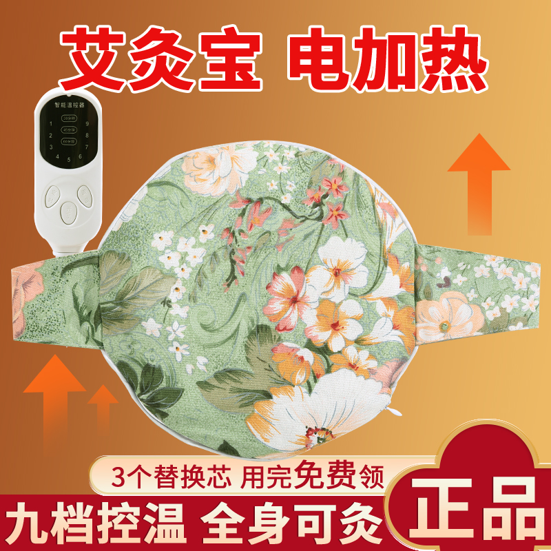 艾草艾灸宝热敷袋包电加热熏蒸仪垫暖宫寒胃腹部理袋疗仪妇科家用