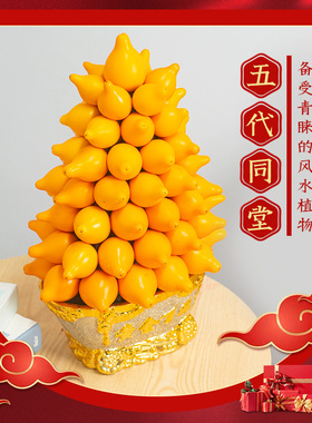 【年宵花】五代同堂盆栽黄金果乳茄新年装饰观赏长寿盆景五指茄果