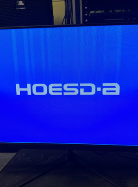 二手原装正品HOESD.A D240H电脑液晶显示器（花屏）故障