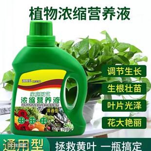 超浓缩植物营养液花肥通用化肥料家用绿植盆栽绿萝叶黄万能富贵竹