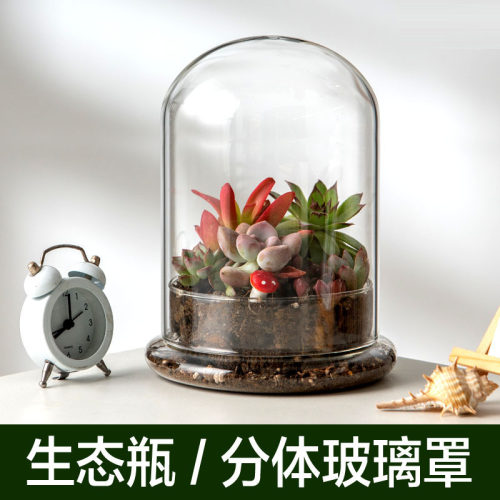 玻璃罩闷养植物容器透明玻璃