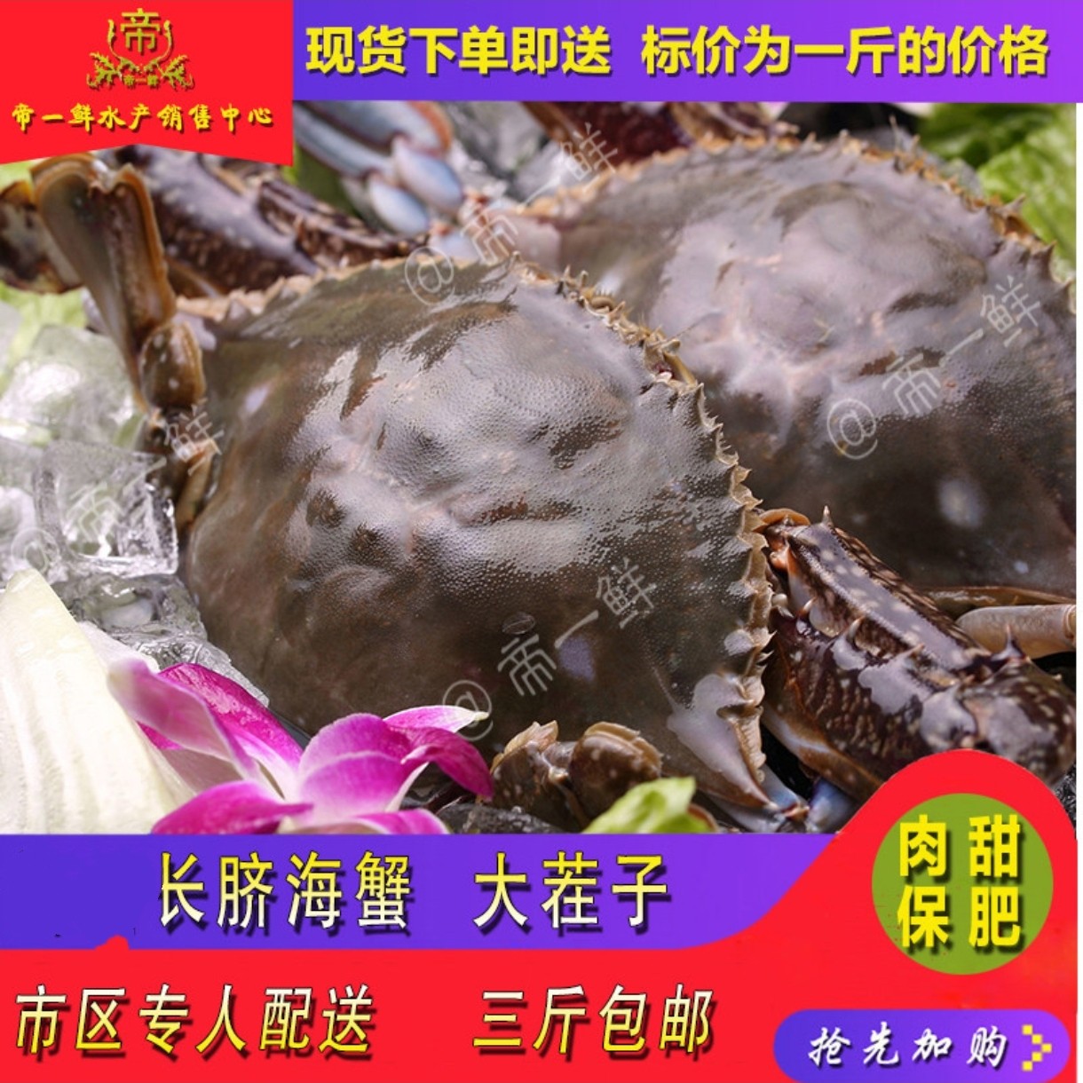 渤海湾梭子蟹公海蟹螃蟹长脐海鲜梭子蟹