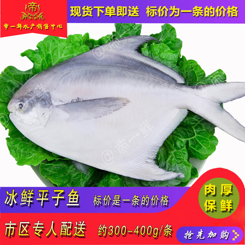 天津新鲜银鲳鱼平子鱼一条海鲜小鲳鱼同城水产配送包邮海水鱼肉厚