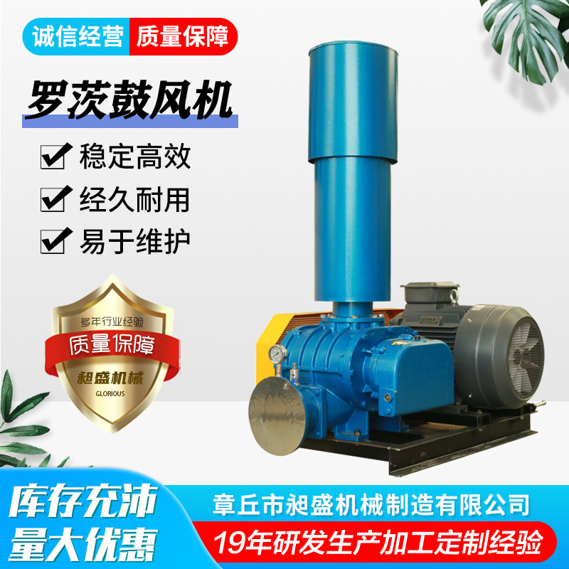 罗茨风机19年制造经验质量有保障