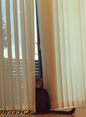 日本立川TACHIKAWA进口垂直帘定制竖百叶遮光型铝合金型透景型