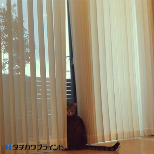 日本立川TACHIKAWA进口垂直帘定制竖百叶遮光型铝合金型透景型