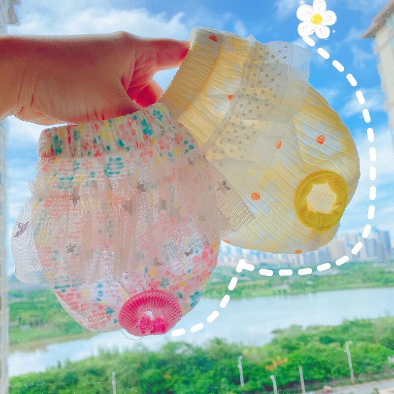 宠物吉娃娃服装素材模板 宠物吉娃娃服装图片下载 小麦优选