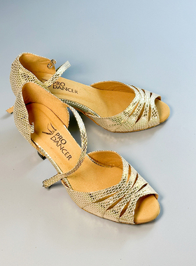 Pro Dancer 灵动性感专业阿根廷探戈拉丁国标salsa交谊舞鞋