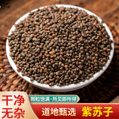 中药材紫苏子当季新货
