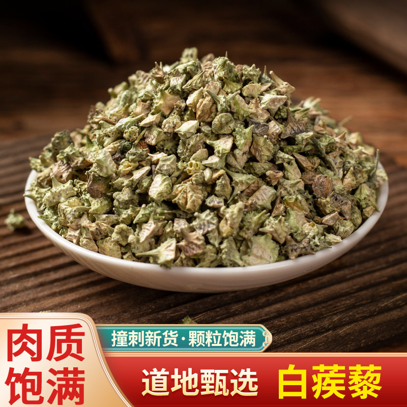 当季新货中药材白蒺藜
